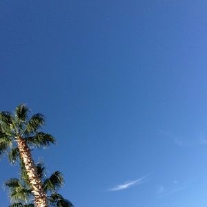 Meet your Posher, Addison